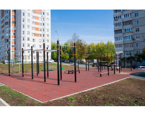 Спортивное оборудование с рукоходом Romana 501.54.01